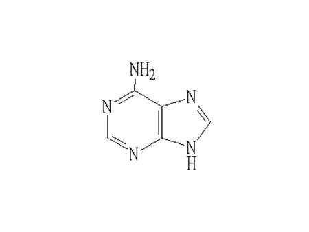 腺嘌呤