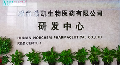 公司简介